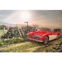 Austin Healey 3000 1960's