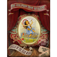 High Wire Act