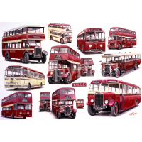 Lancashire Ribble Bus Montage