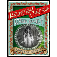Lunatic Asylum