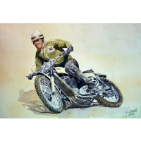 Derek Rickman Matchless Metisse
