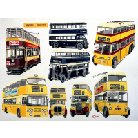 Newcastle Enterprise & Silver Dawn Bus Montage