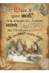 Alice in Wonderland Bonkers