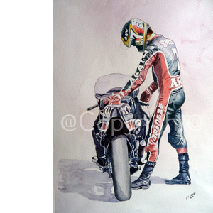 Barry Sheene The Legend