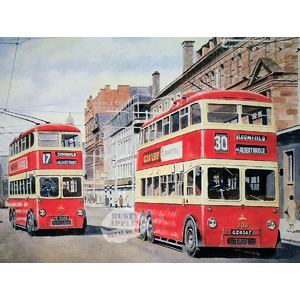 Belfast Trolley Bus (RN)