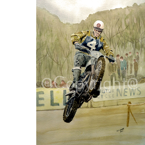 BSA Motocross GP 1960's