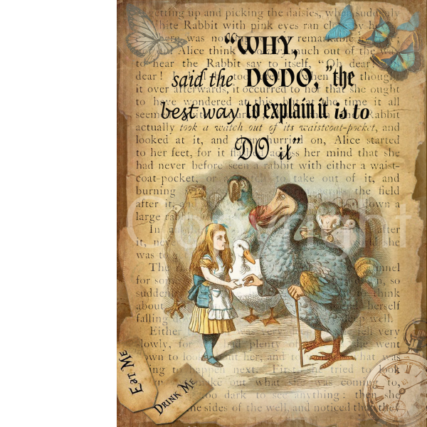 Alice In Wonderland The Dodo