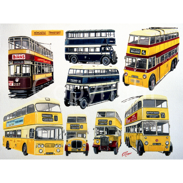 Newcastle Enterprise & Silver Dawn Bus Montage